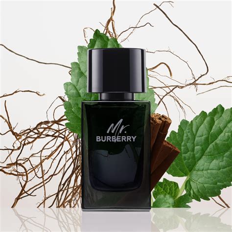 mr burberry eau de parfum avis|where to buy mr Burberry.